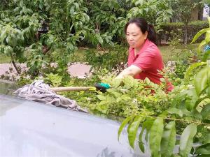 致敬美丽保洁员 点赞平凡物业人